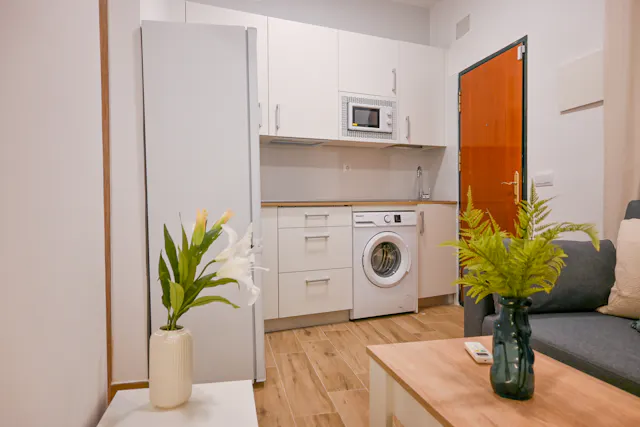 1-Bedroom Apartment in Calle de Argente, Madrid (1573362) room image 40