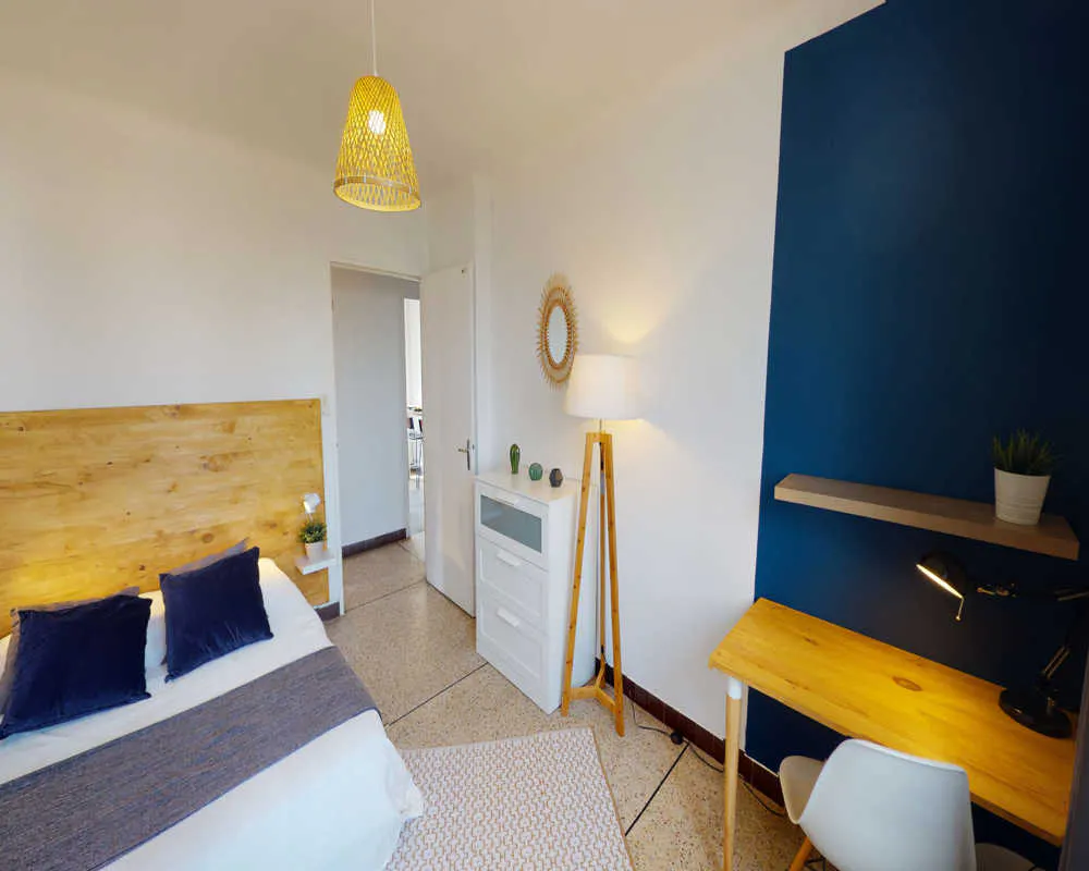Private room in Boulevard Berthelot, Montpellier (1573450) ROOM 1
