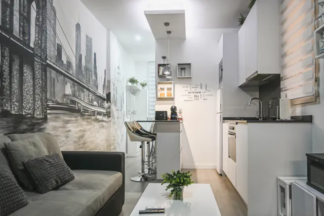 1-Bedroom Apartment in Calle de Embajadores, Madrid (1573748) room image 1