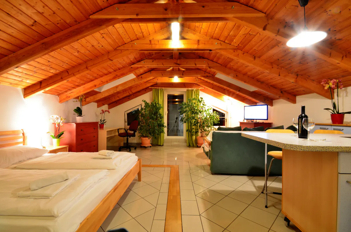 1-Bedroom Apartment in An der Oberen Alten Donau, Vienna (1574295) ROOM