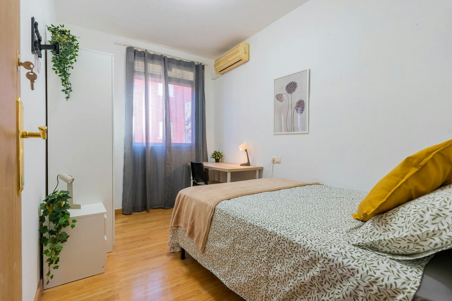 Carrer de Jaume II, Valencia preview