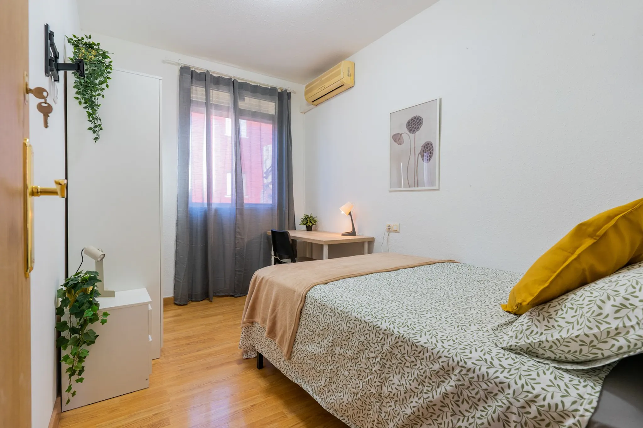 Carrer de Jaume II, Valencia preview