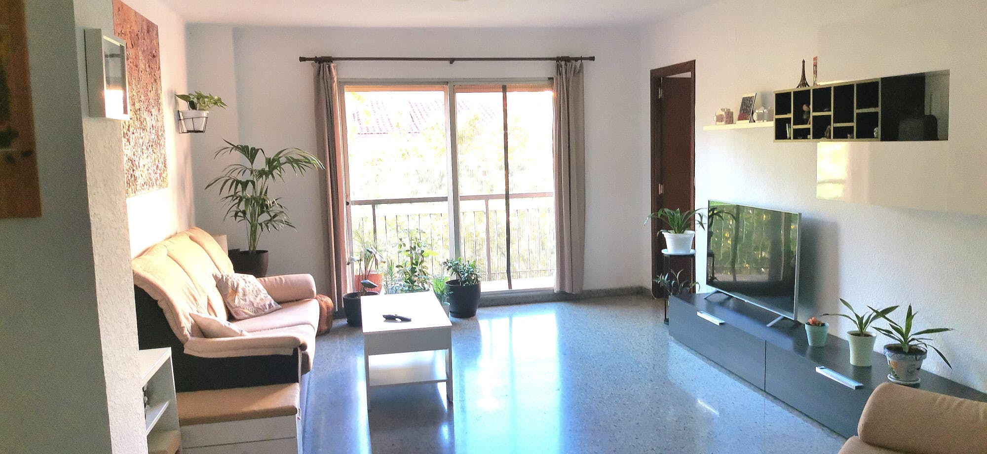 Single room Valencia, 1 bed, 12m² — photo 8