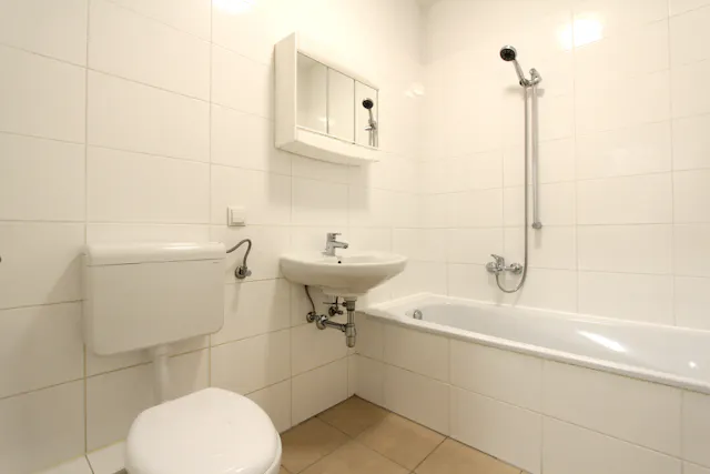 1-Bedroom Apartment in Hartlgasse, Vienna (1576867) room image 28