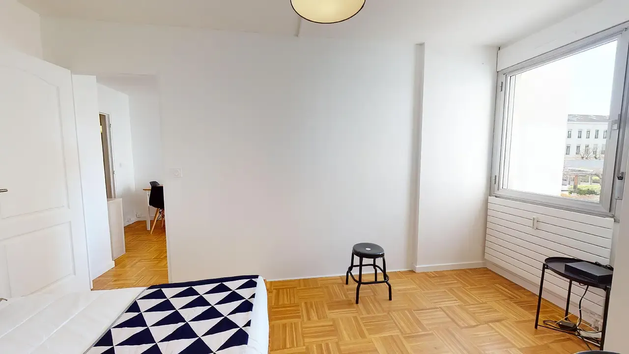 Private room in Rue Claudius Pionchon, Lyon (1577675) ROOM 2