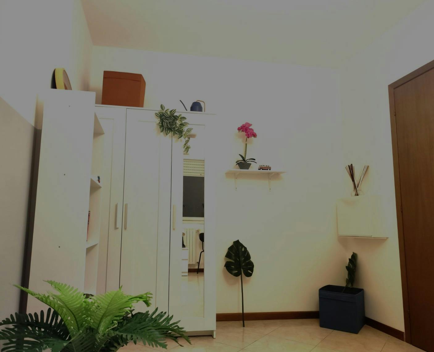 Single room Bologna, 1 bed, 13m² — photo 7