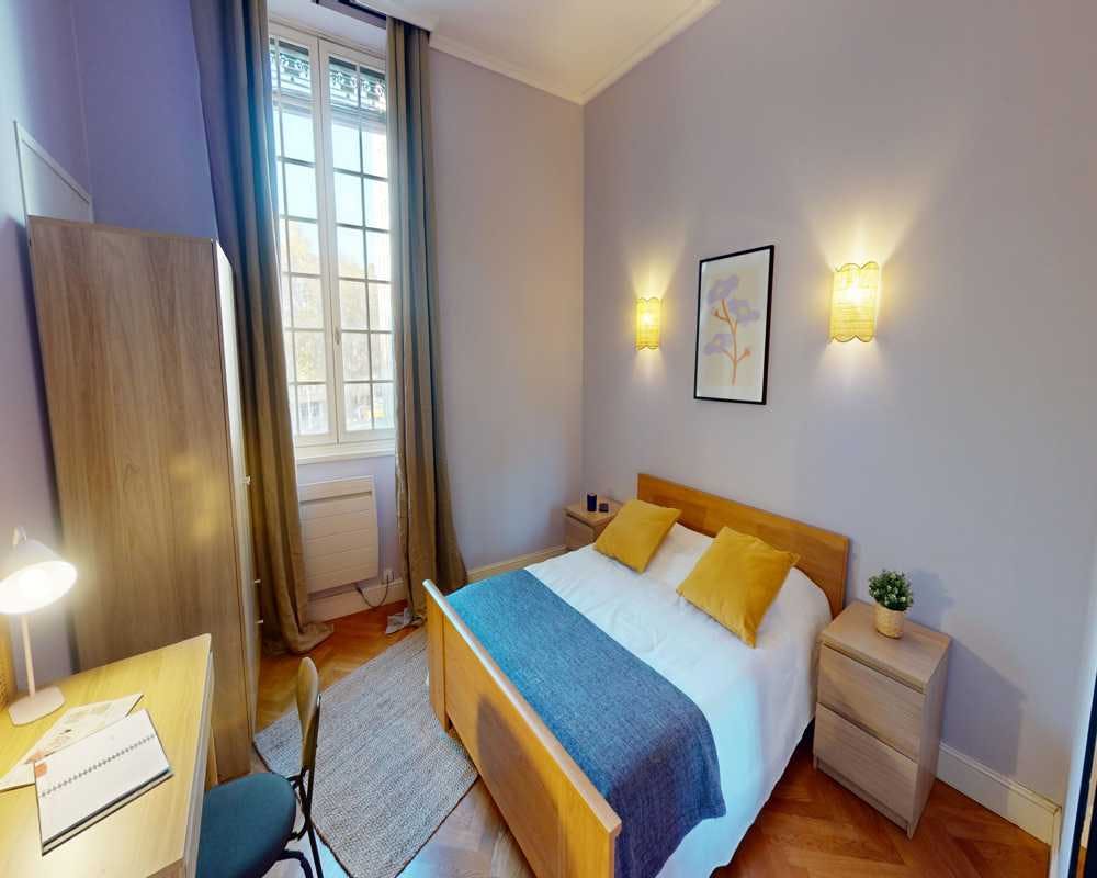 Rue Tête d'Or, Lyon preview