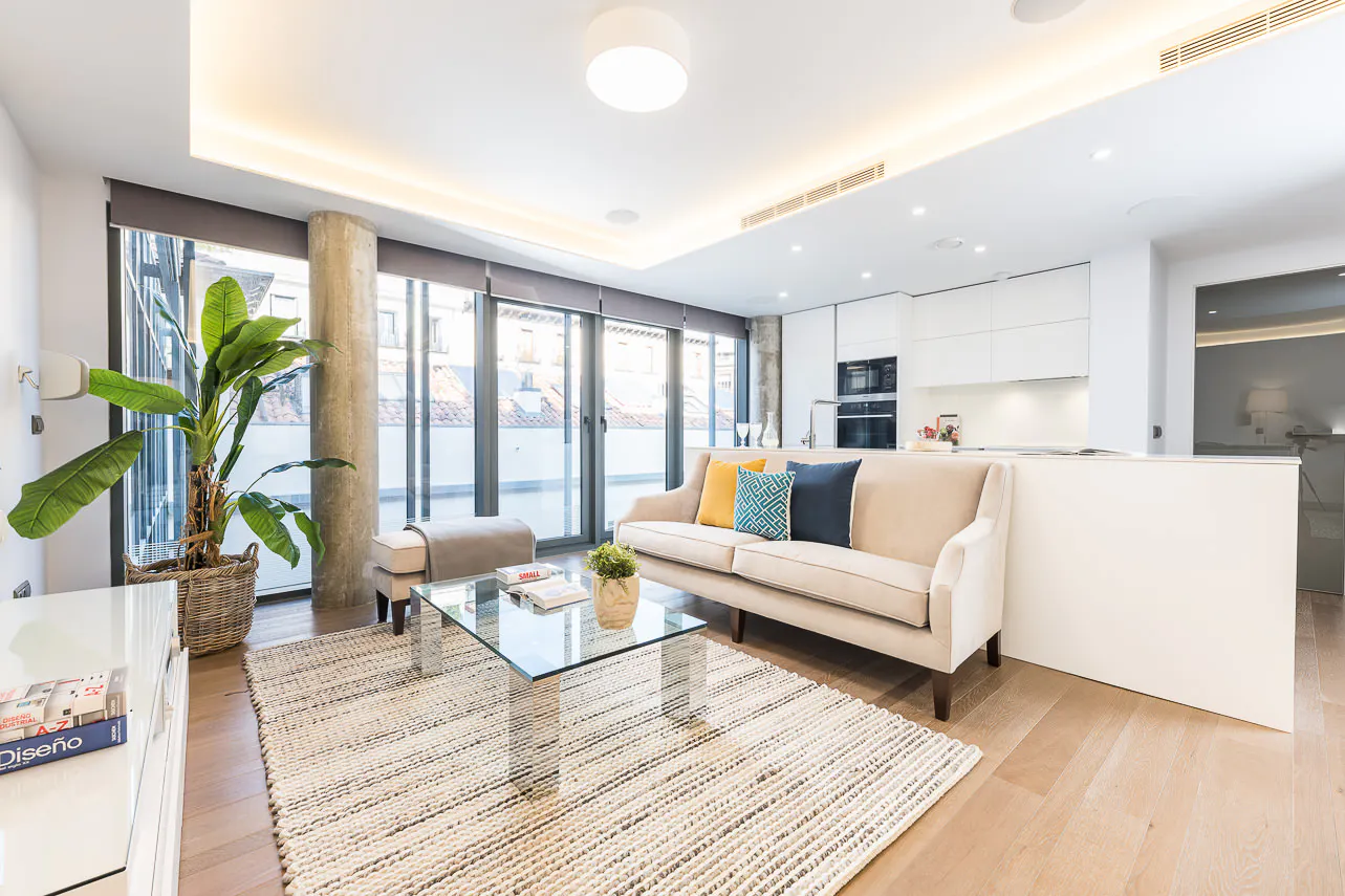 2-Bedroom Apartment in Calle de Fernando VI, Madrid (1579002) ROOM 1