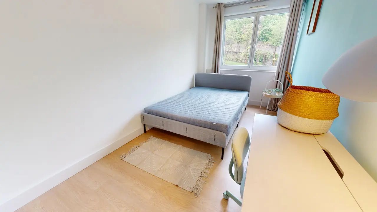 Private room for rent on Rue de Saint-Cyr, Lyon