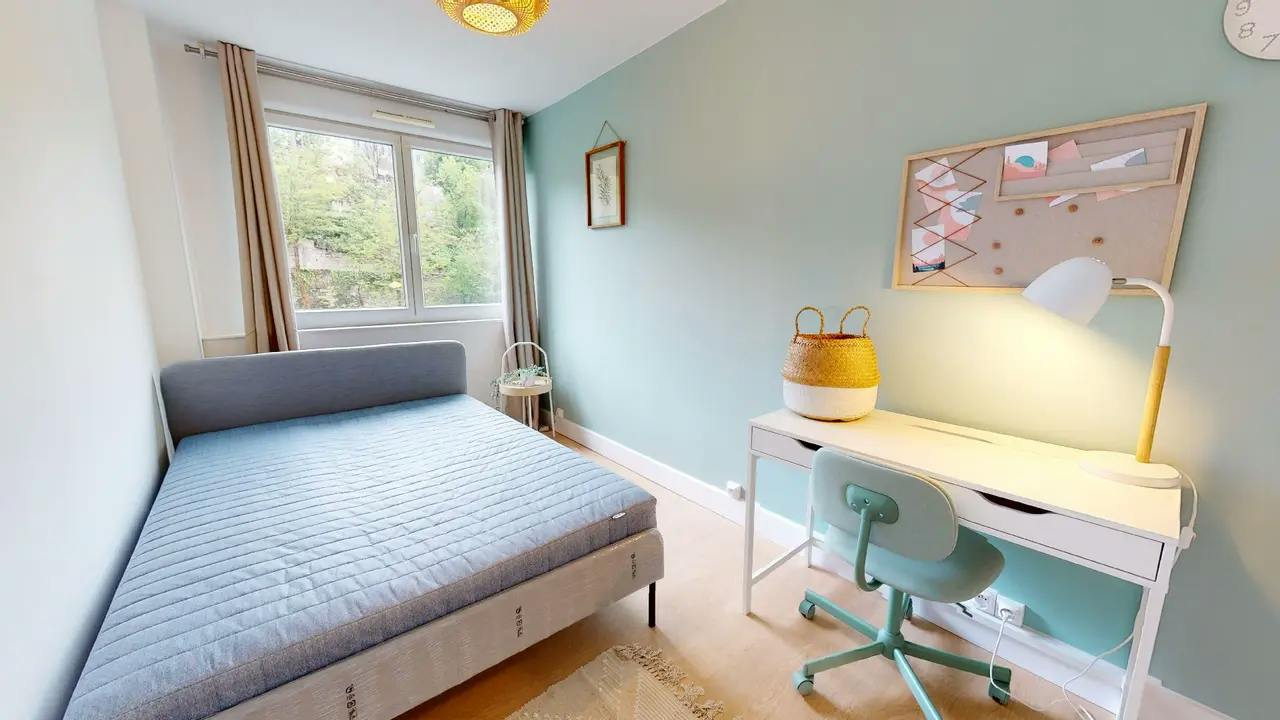 Private room for rent on Rue de Saint-Cyr, Lyon - View 4