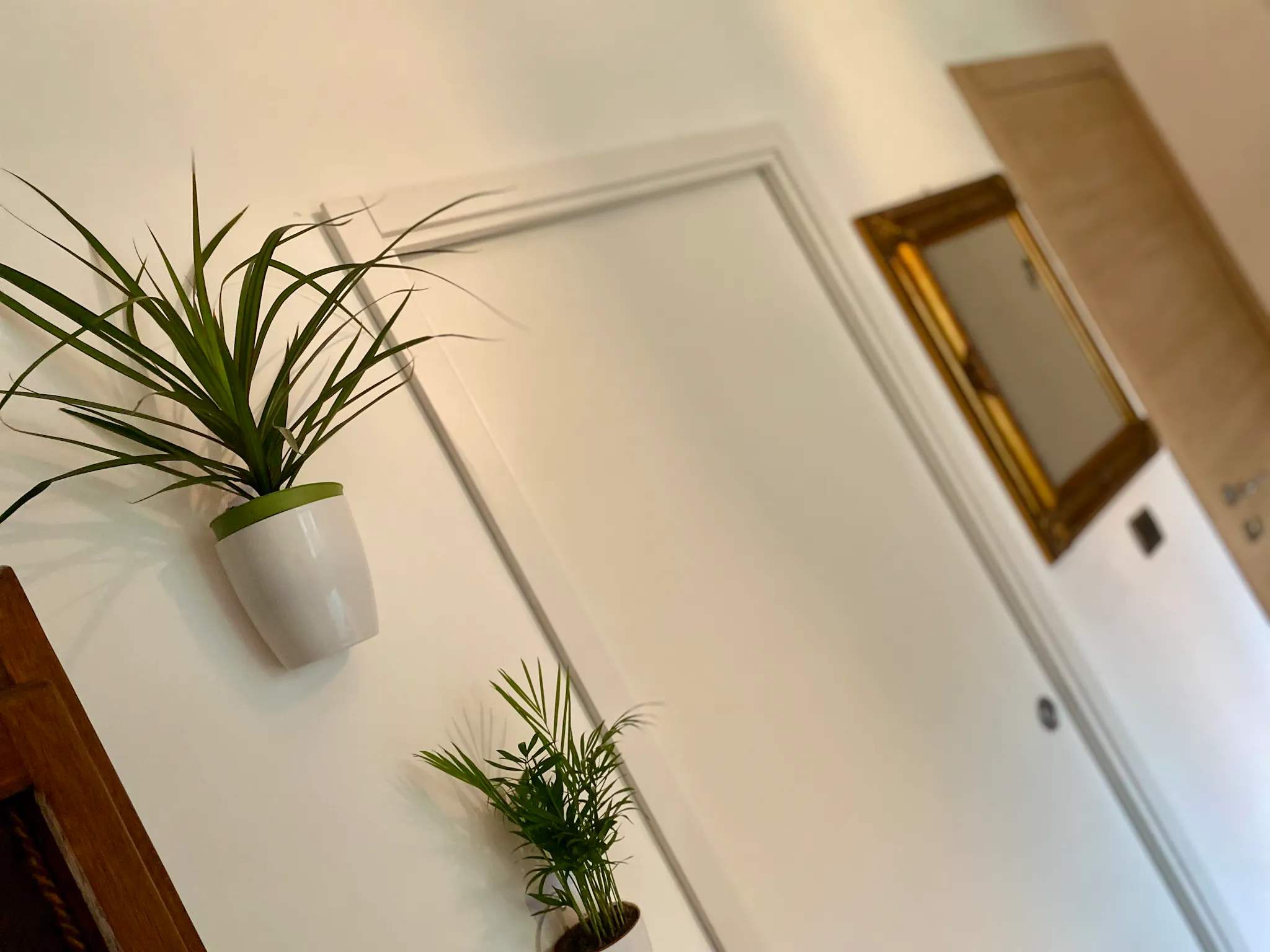 Private room in Via Sesto Calende, Milan (1580792) ROOM 1