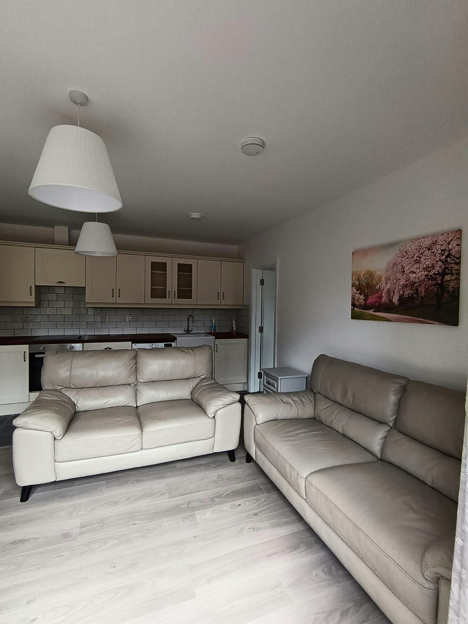 Apartment Dublin, 2 beds — photo 3