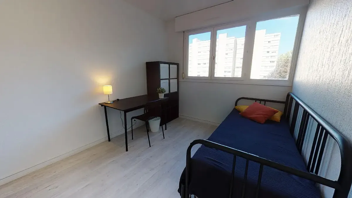 Private room in Rue de l'Espoir, Villeurbanne (1581255) ROOM