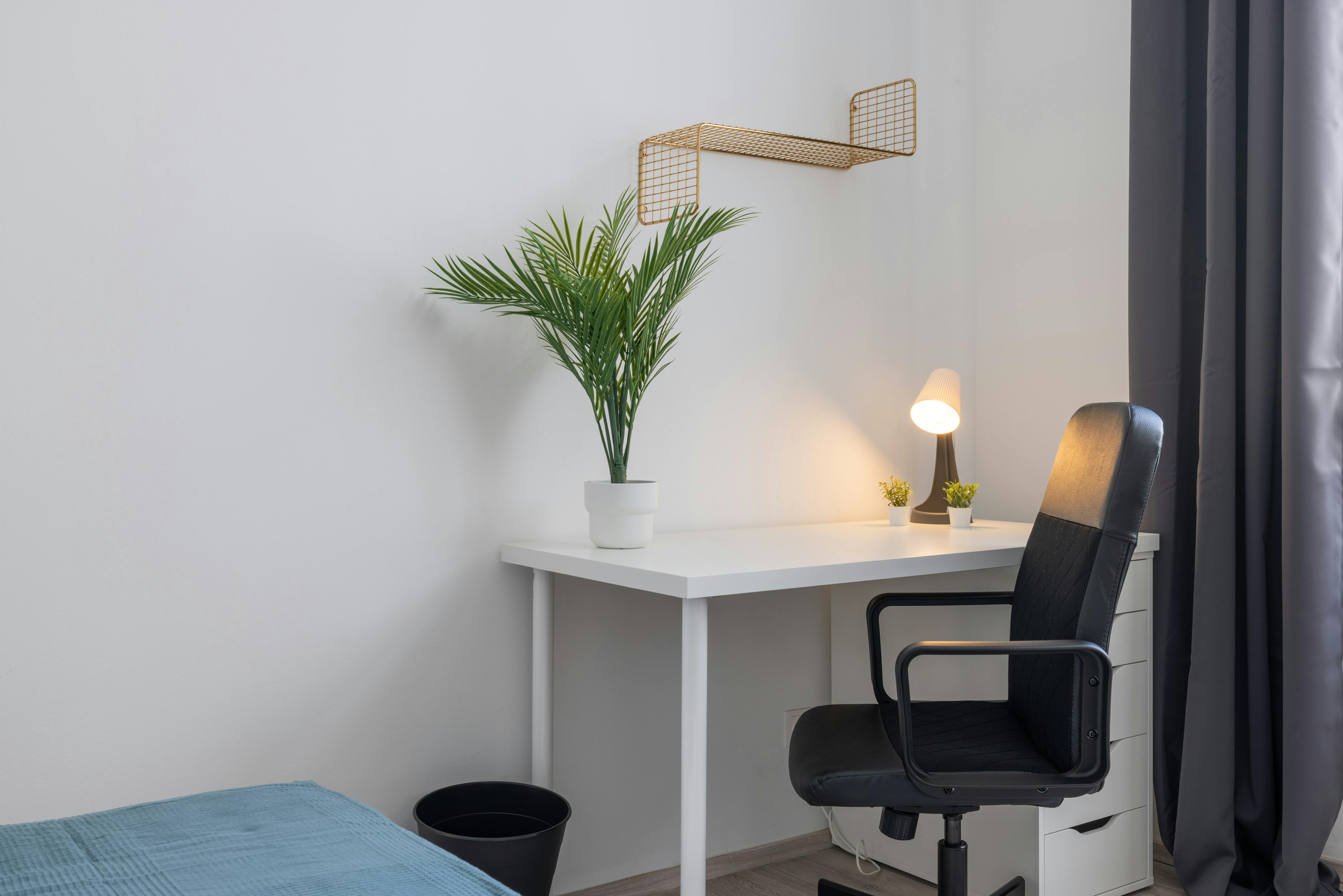 Apartment Vienna, 1 bed, 10m² — photo 2