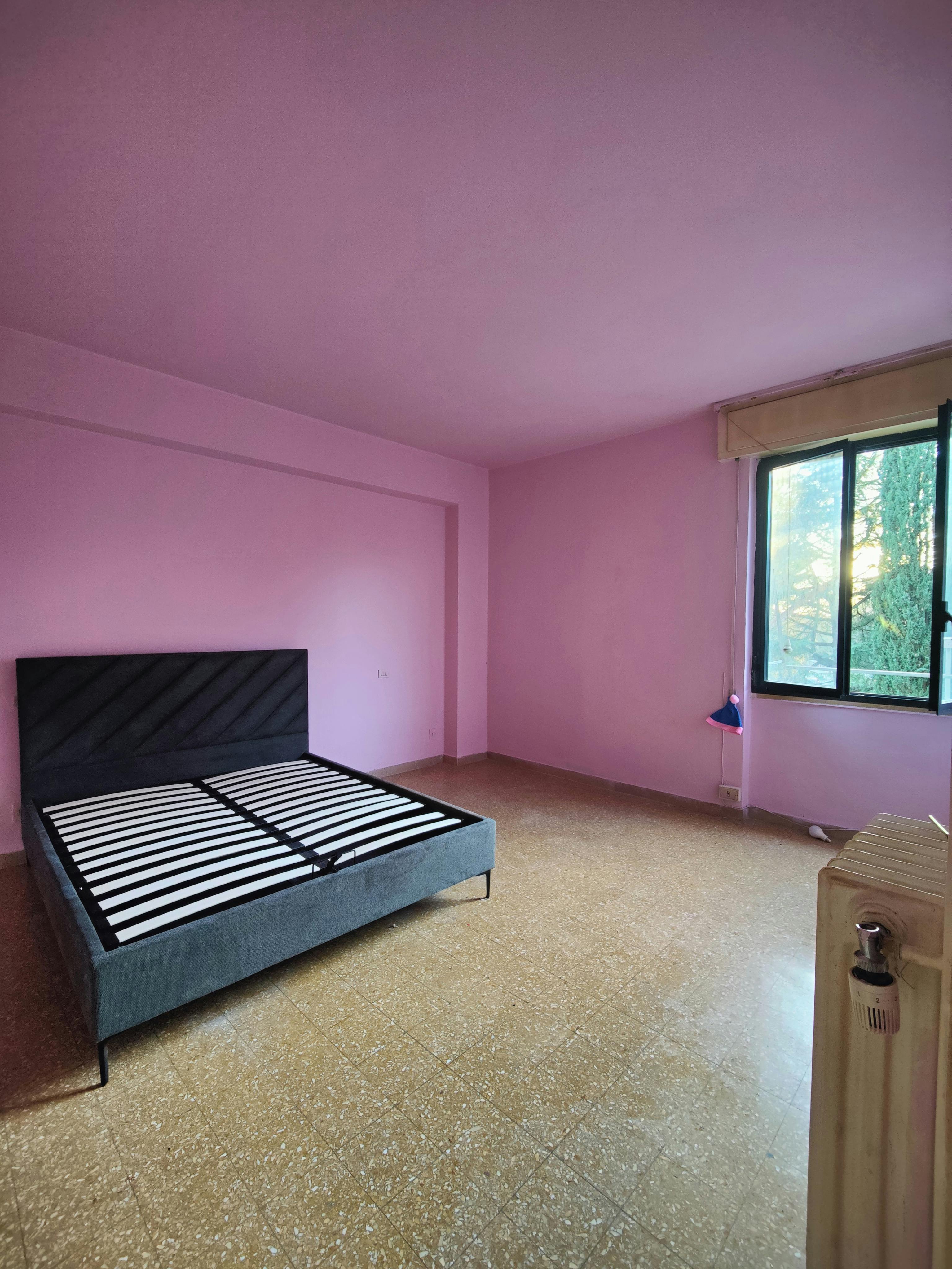 Single room Pisa, 1 bed, 18m² — photo 11