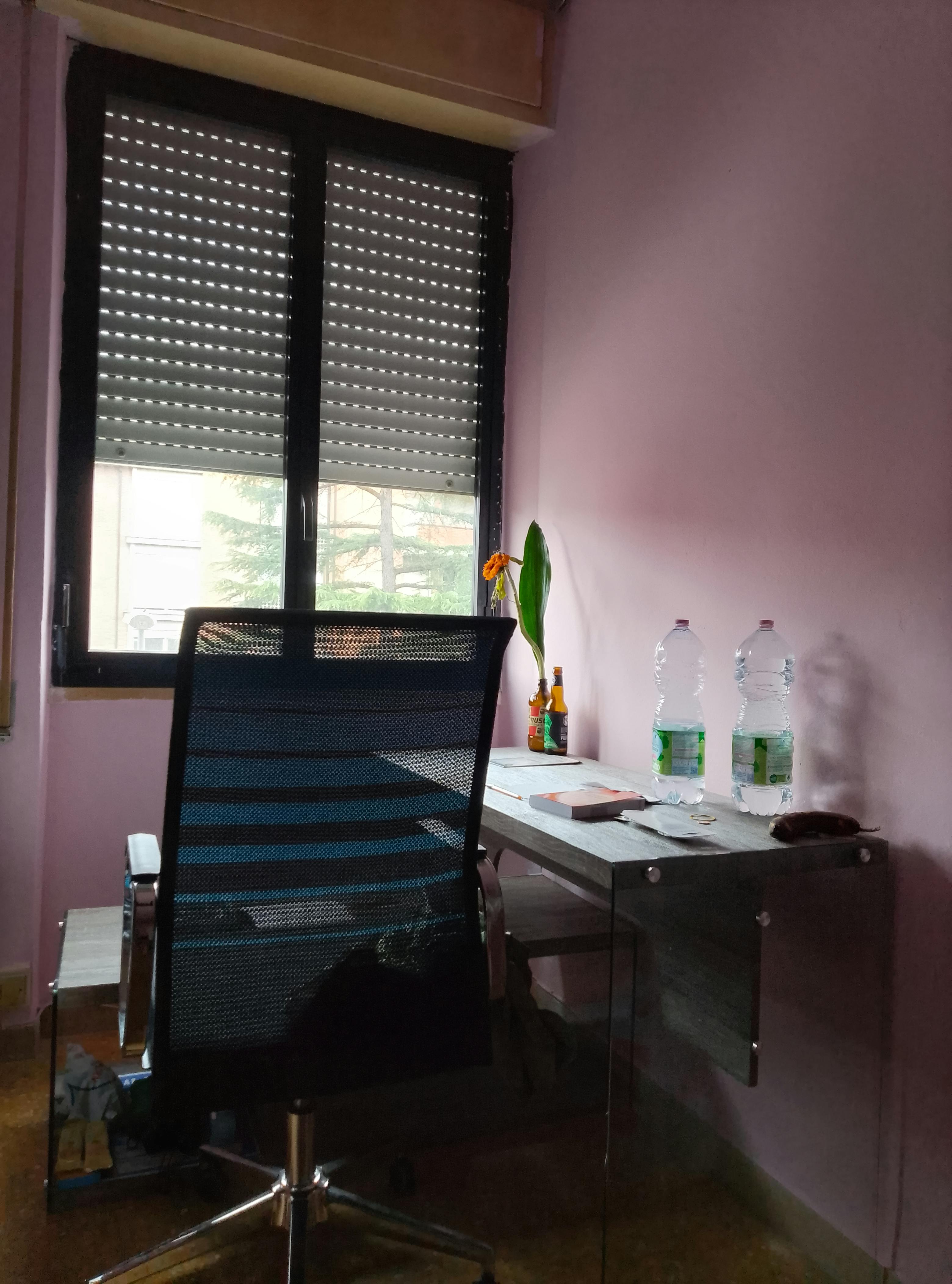 Private room for rent for €700 per month in Pisa, Via Donato Bramante