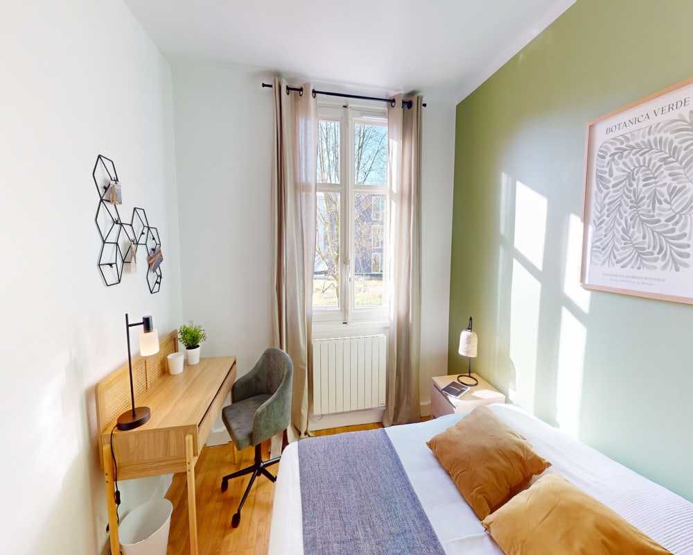 Private room in Rue Salomon Reinach, Lyon (1584813) room image 1