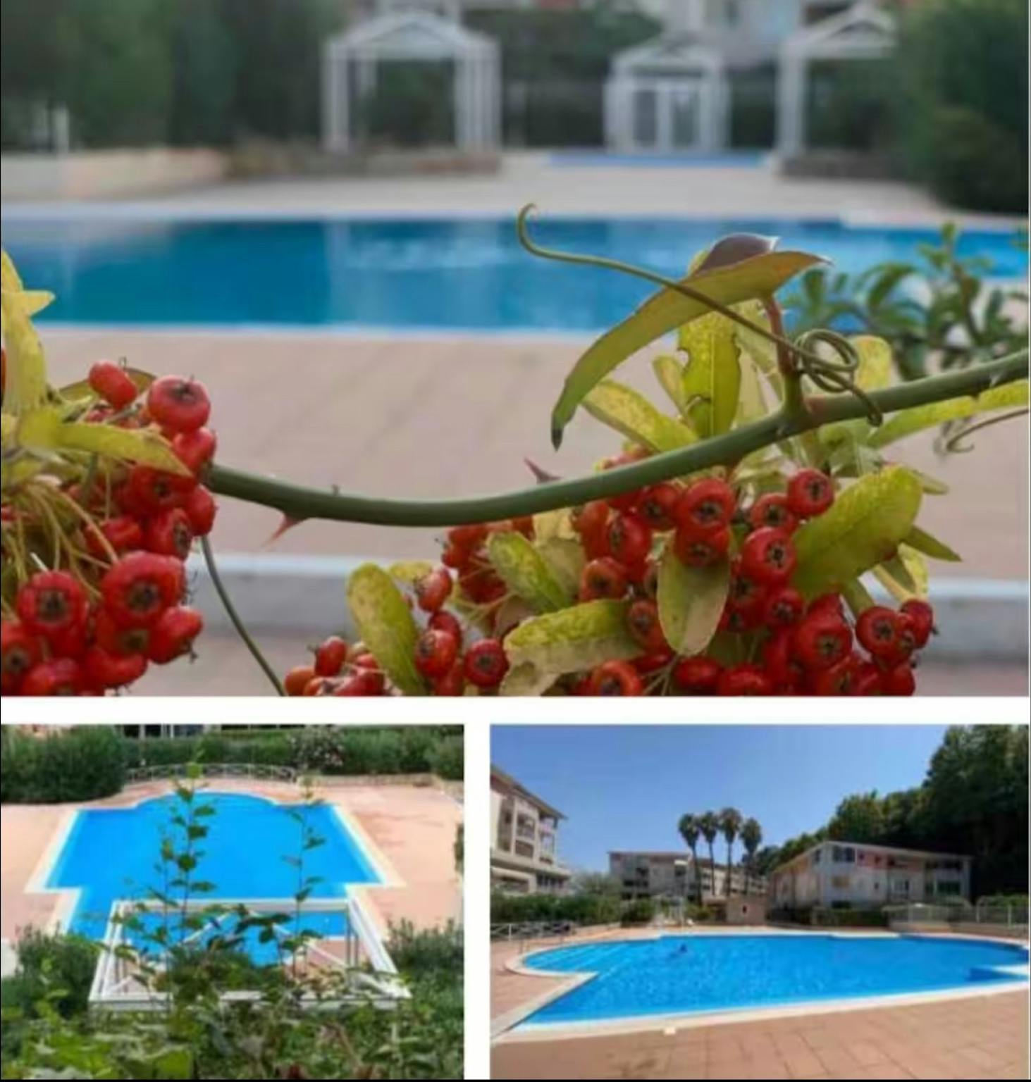 Avenue de Grasse, Cagnes-sur-Mer preview