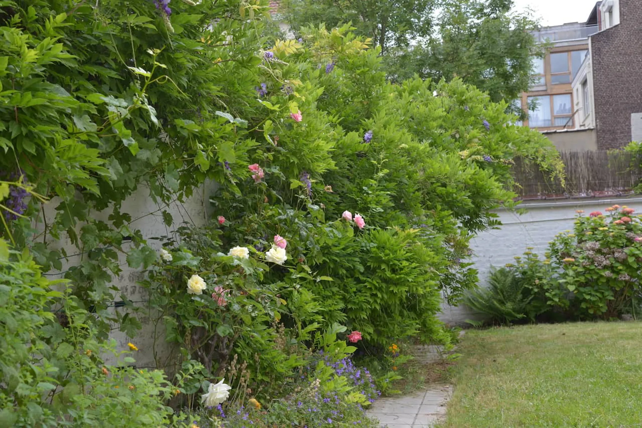 Image #8