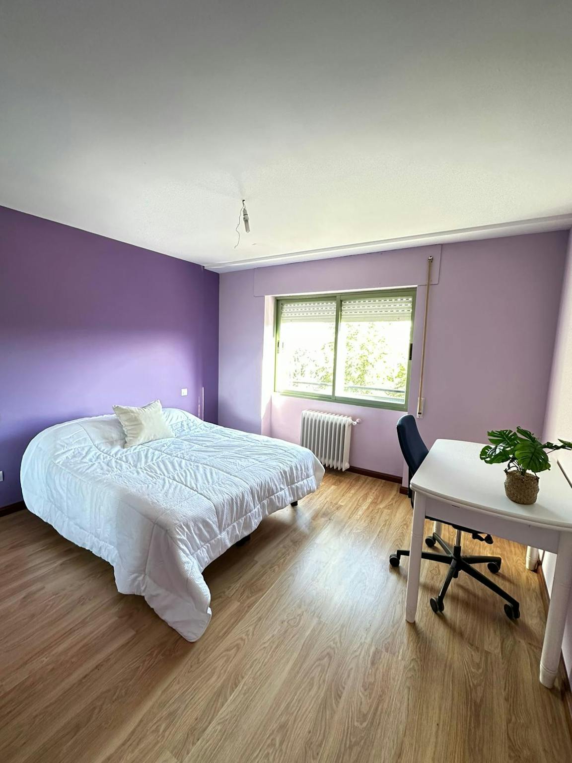 Plaza Nieves, Valladolid preview