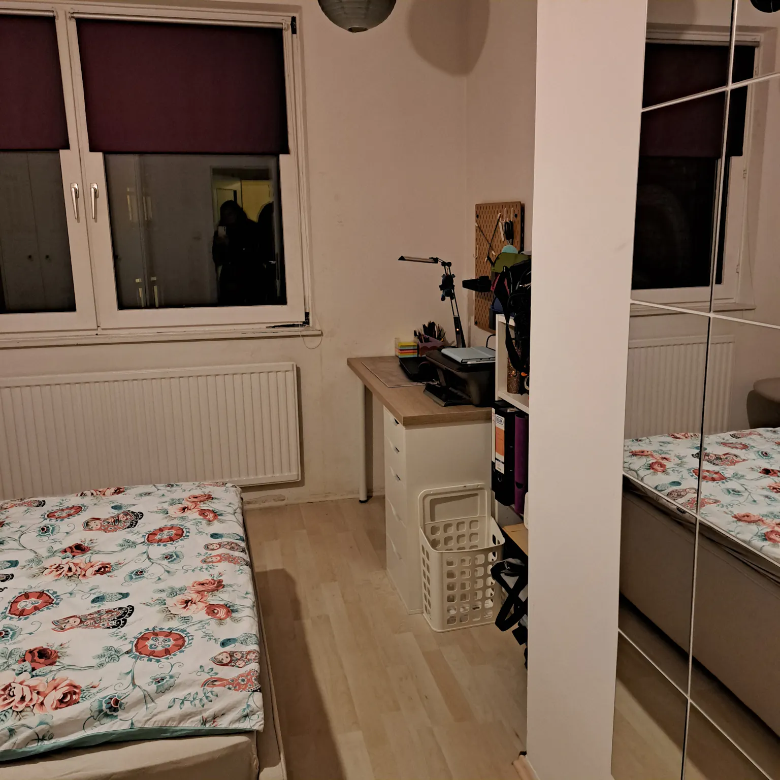 1-Bedroom Apartment in Blindengasse, Vienna (1585524) ROOM 4