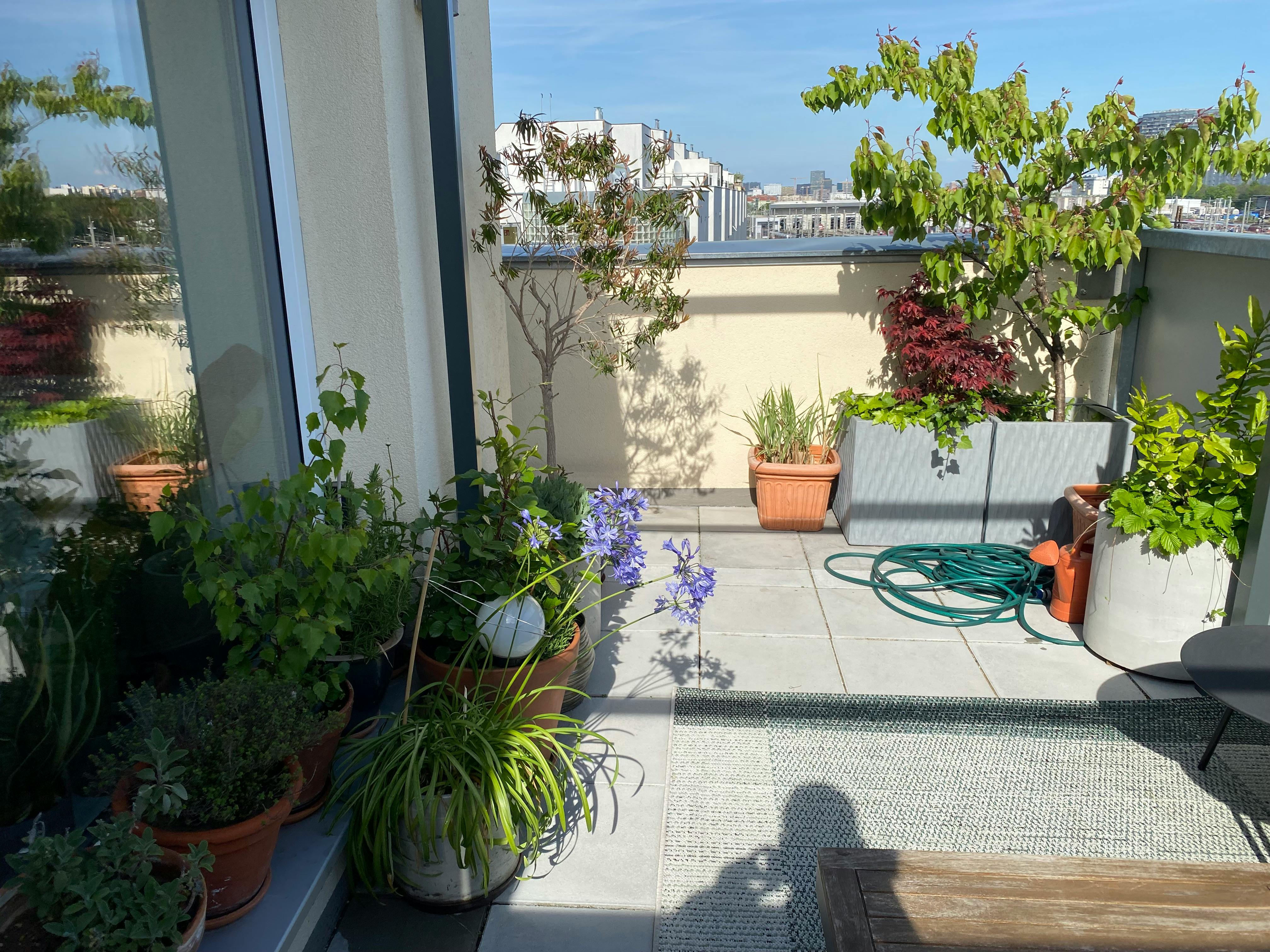 Apartment in Eichenstraße, Vienna (1585566) ROOM 1