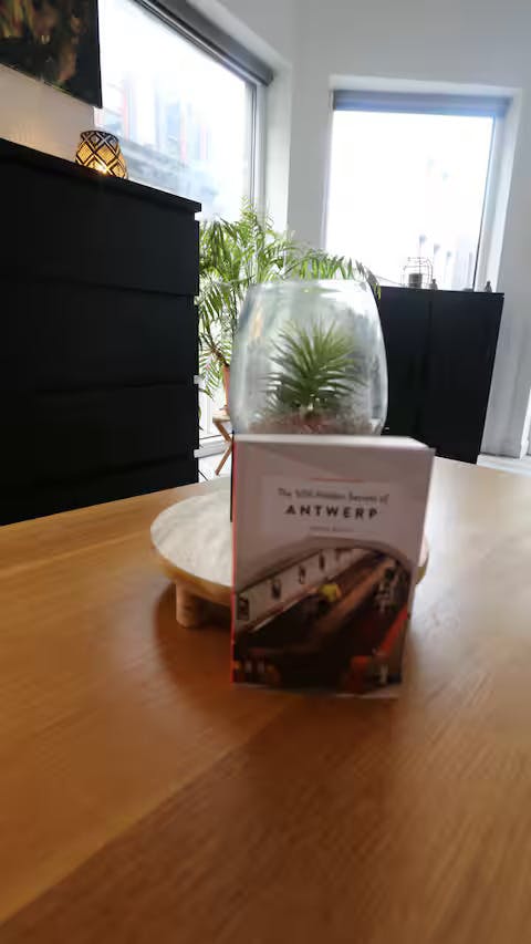 Apartment Antwerpen — photo 10