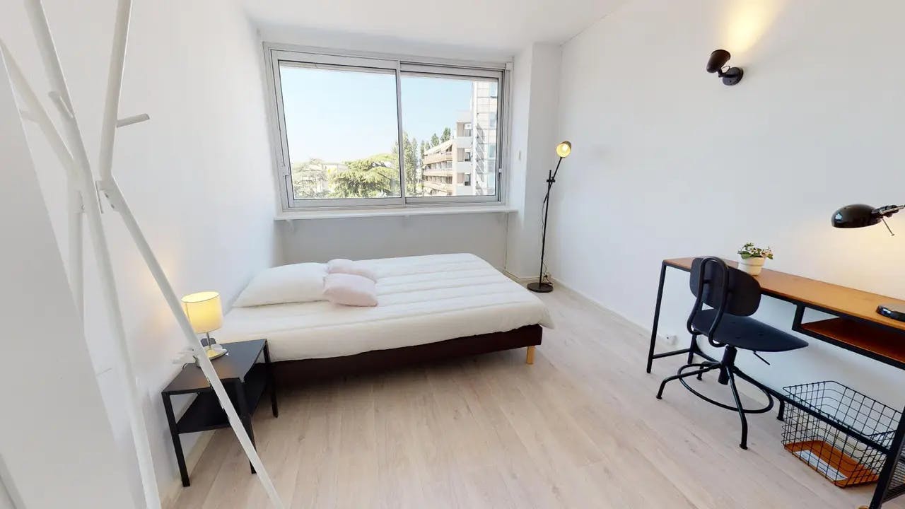 Private room in Cours Émile-Zola, Villeurbanne (1585831) ROOM 2