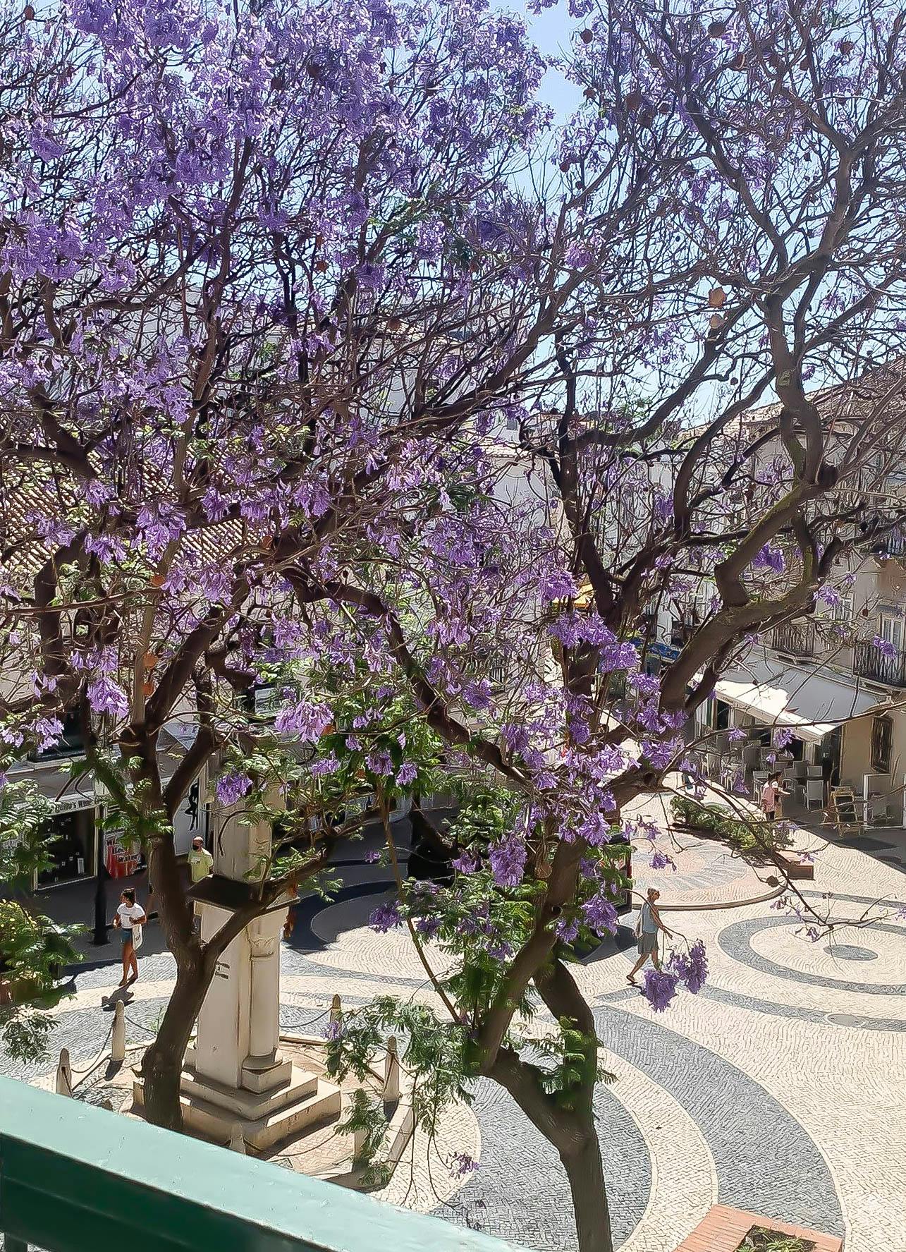 Apartment for rent for €1,700 per month in Lagos, Travessa 1º de Maio