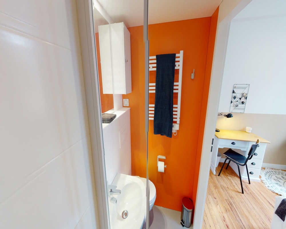 Single room Toulouse, 1 bed, 13m² — photo 19