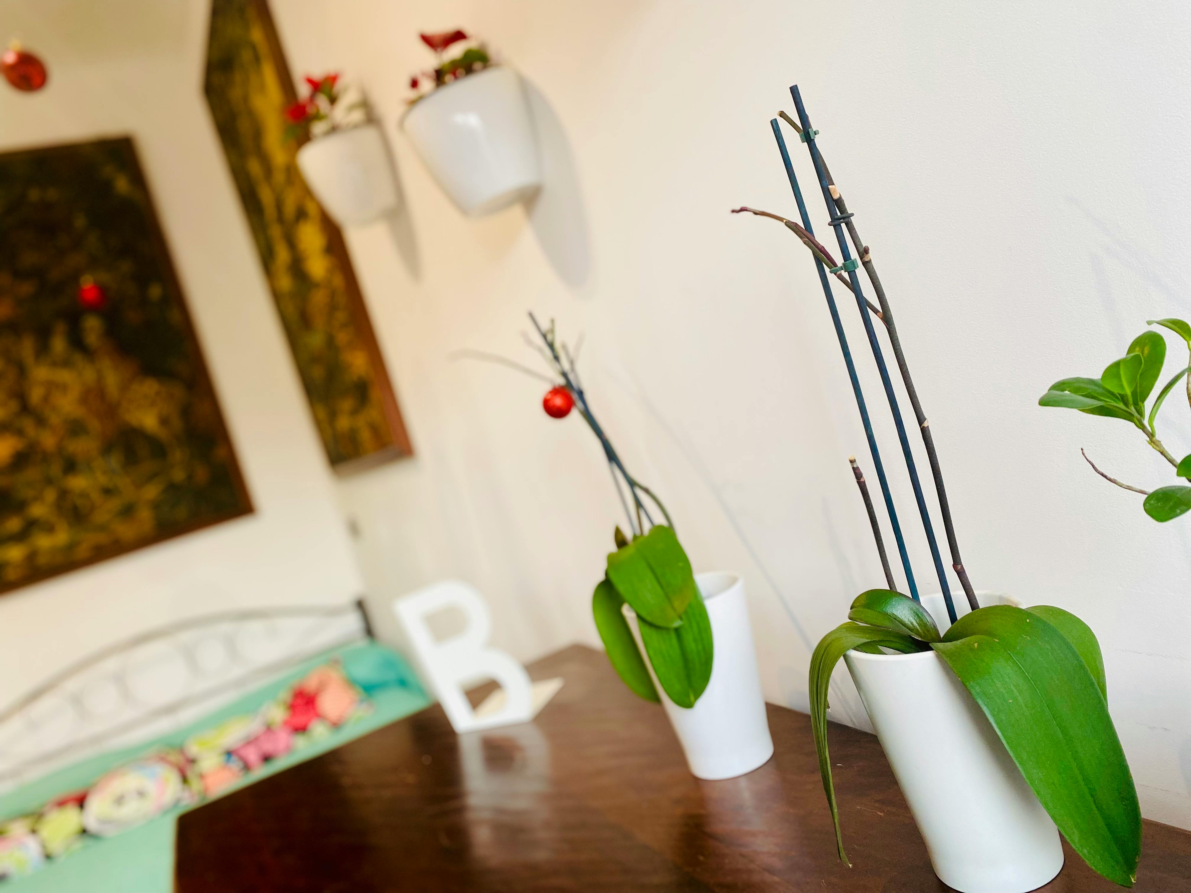 Single room Milan, 1 bed, 14m² — photo 9