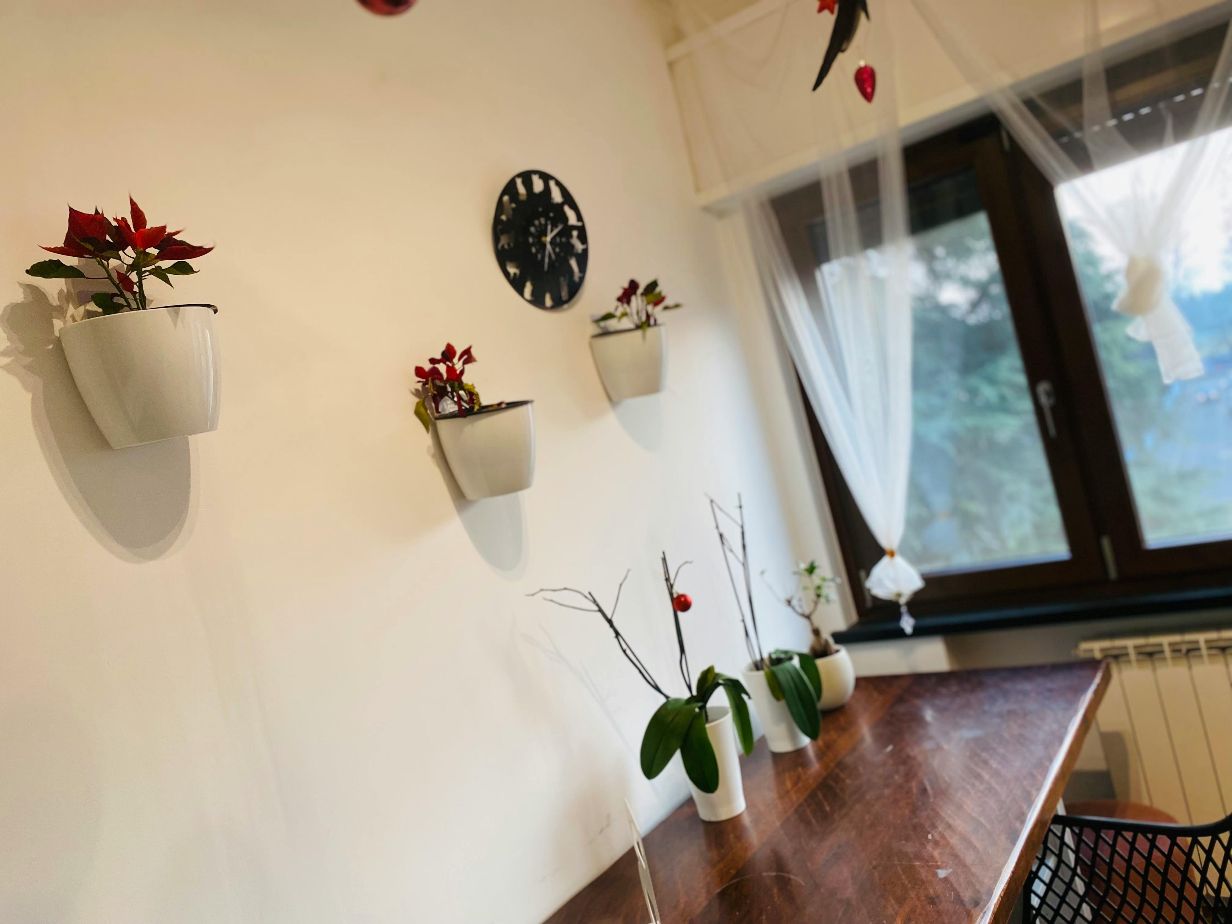 Single room Milan, 1 bed, 14m² — photo 2