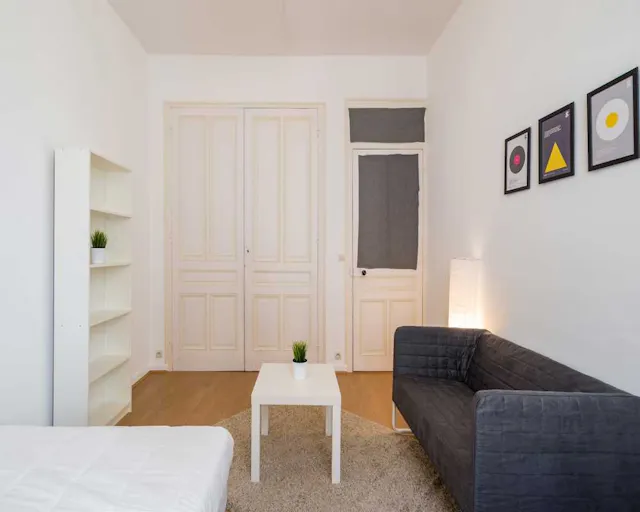 Private room in Rue Villebois Mareuil, Lyon (1587587) room image 2