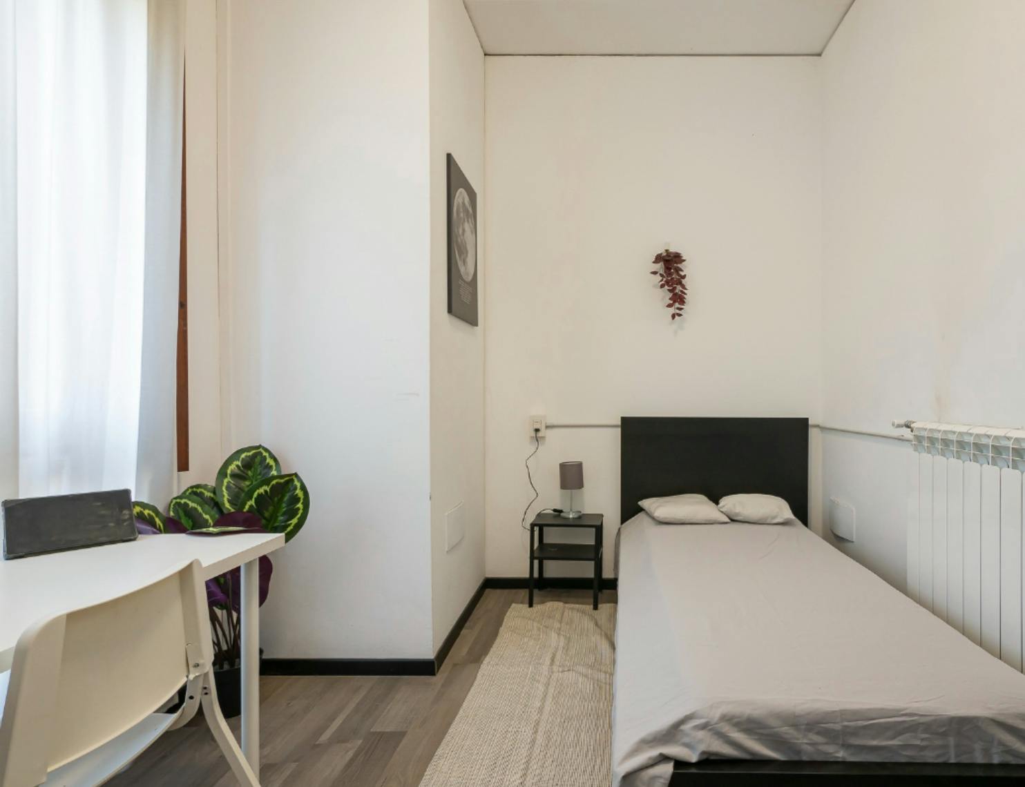 Single room Milan, 1 bed, 18m² — photo 5