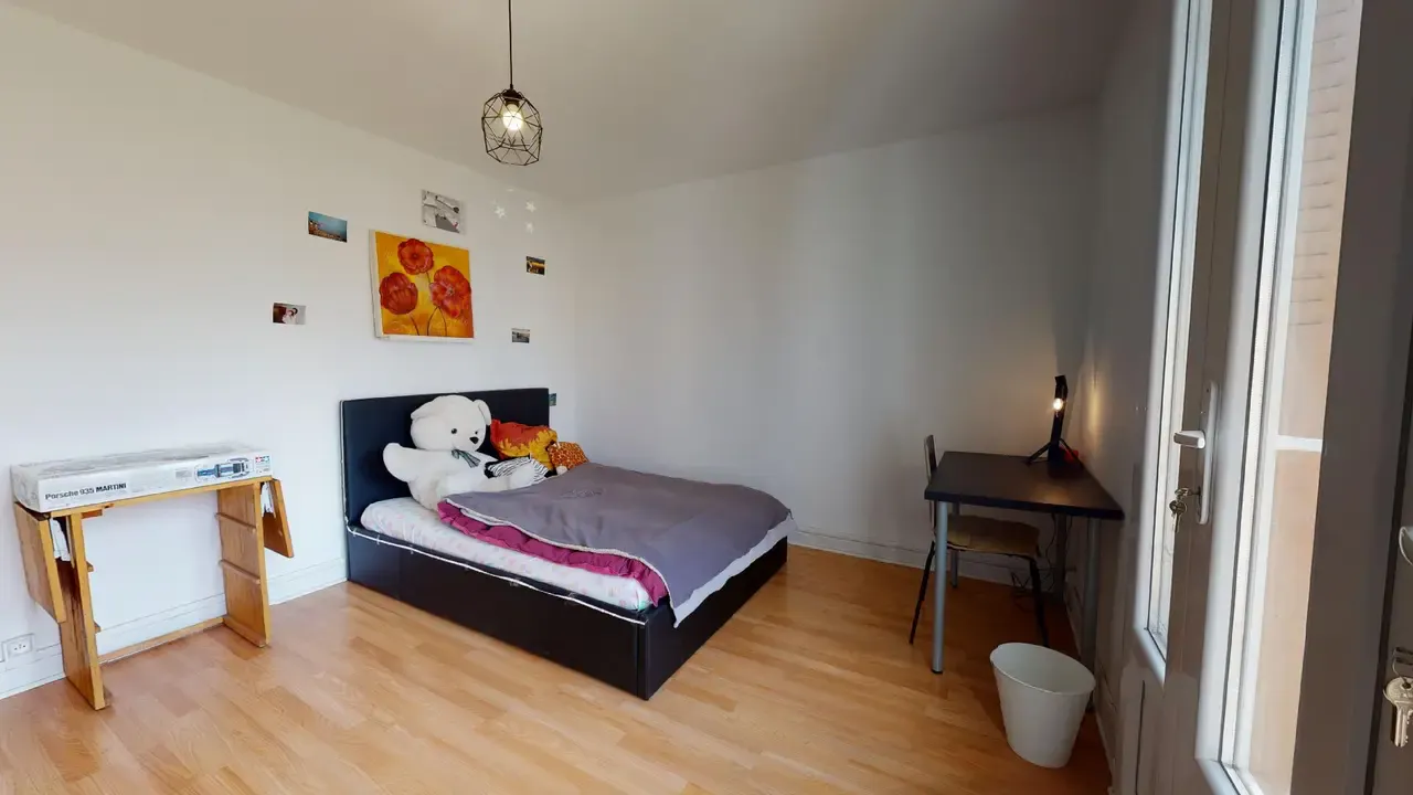 Private room in Rue Greuze, Villeurbanne (1588184) ROOM 2