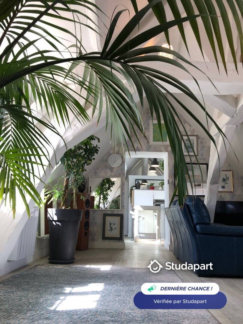 Apartment for rent on Rue Chabot Charny, Dijon