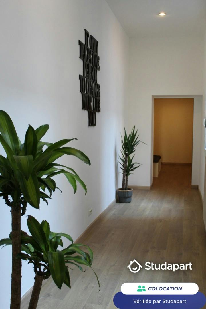 Private room for rent on Rue Montgrand, Marseille - Vue 5