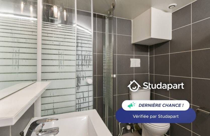 Apartment for rent on Rue Vieux Faubourg, Lille - Skats 4
