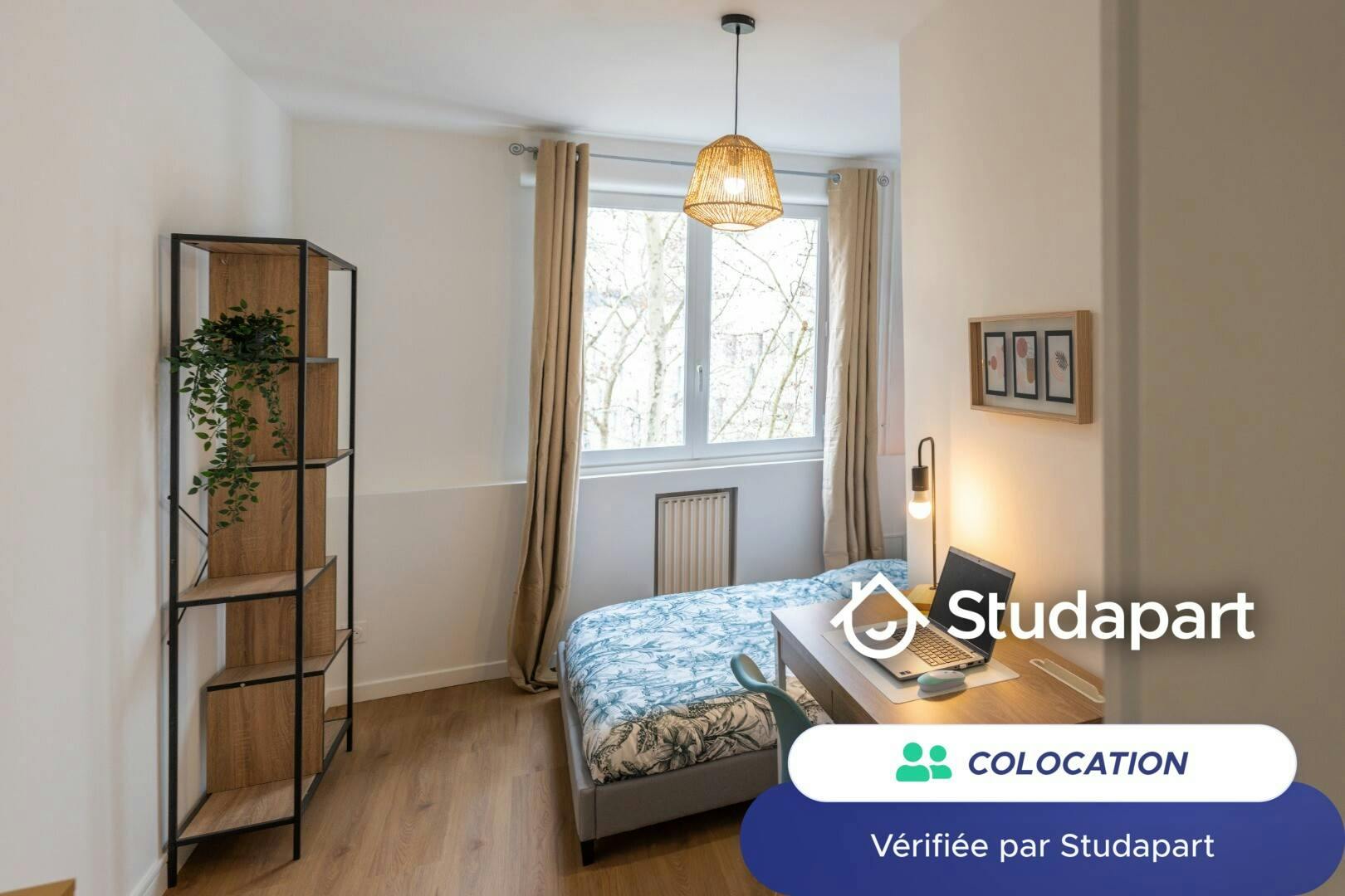 Private room for rent on Boulevard Yves Farge, Lyon