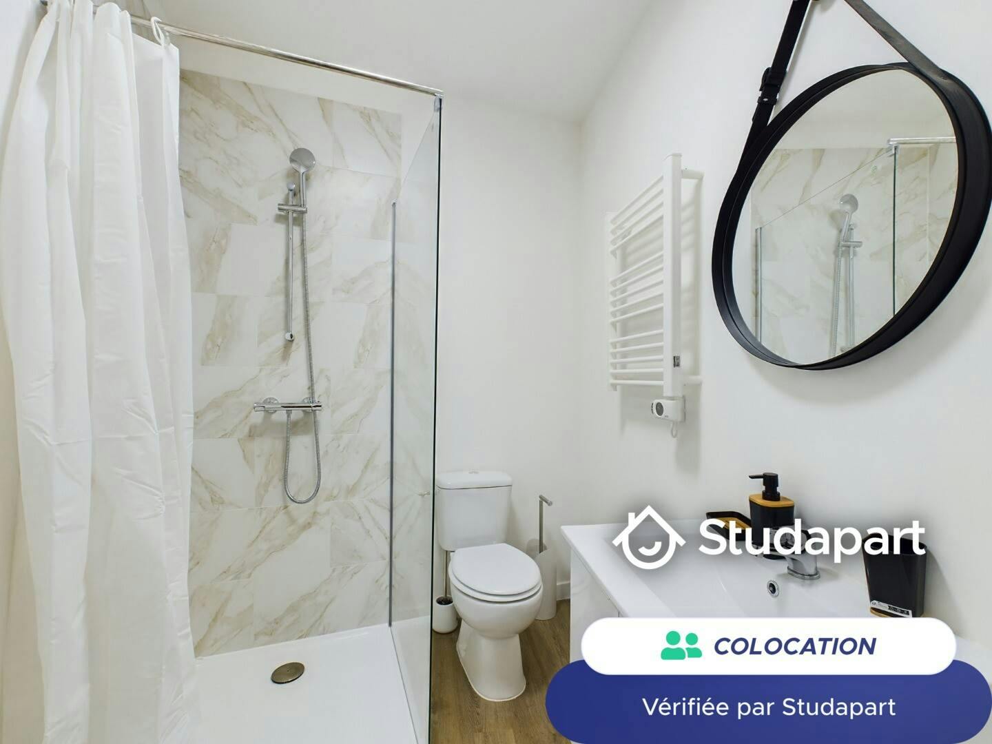 Private room for rent on Rue du Bois d'Annappes, Lille - Plus