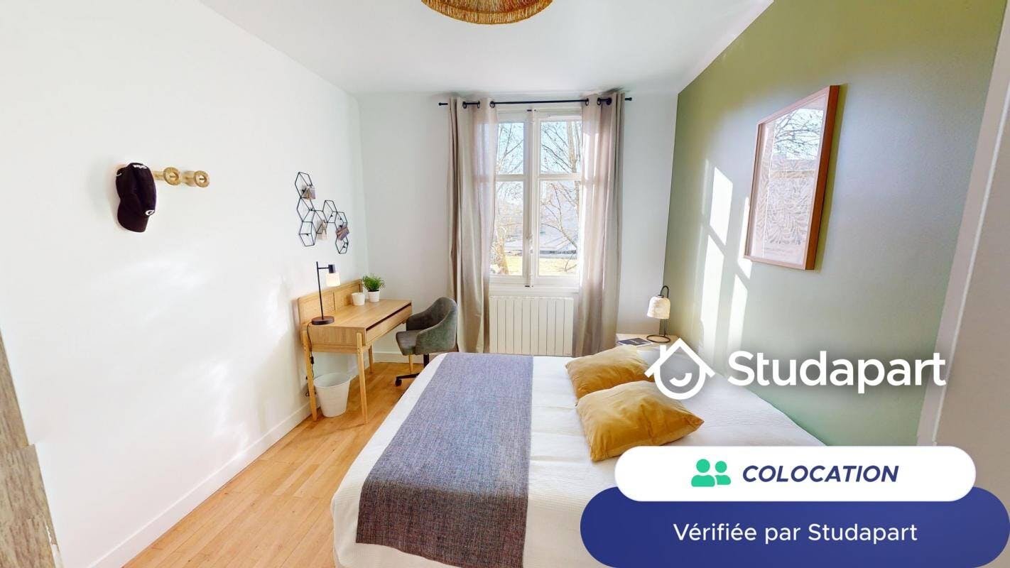 Private room for rent on Rue Salomon Reinach, Lyon - Ansicht 5