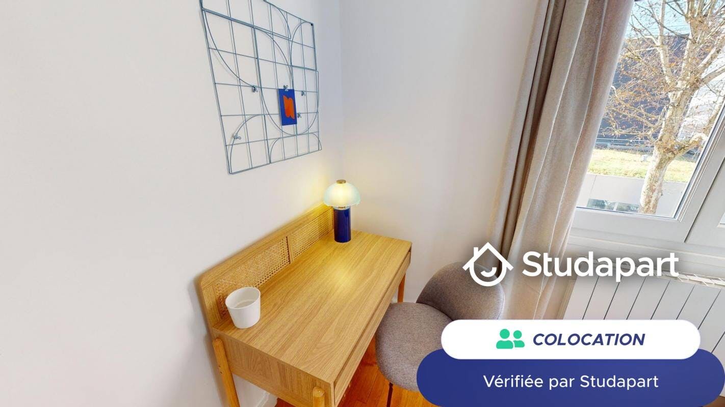 Private room for rent on Rue Salomon Reinach, Lyon - Ansicht 6