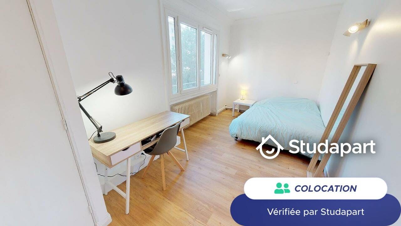 Private room for rent on Rue Professeur Ranvier, Lyon