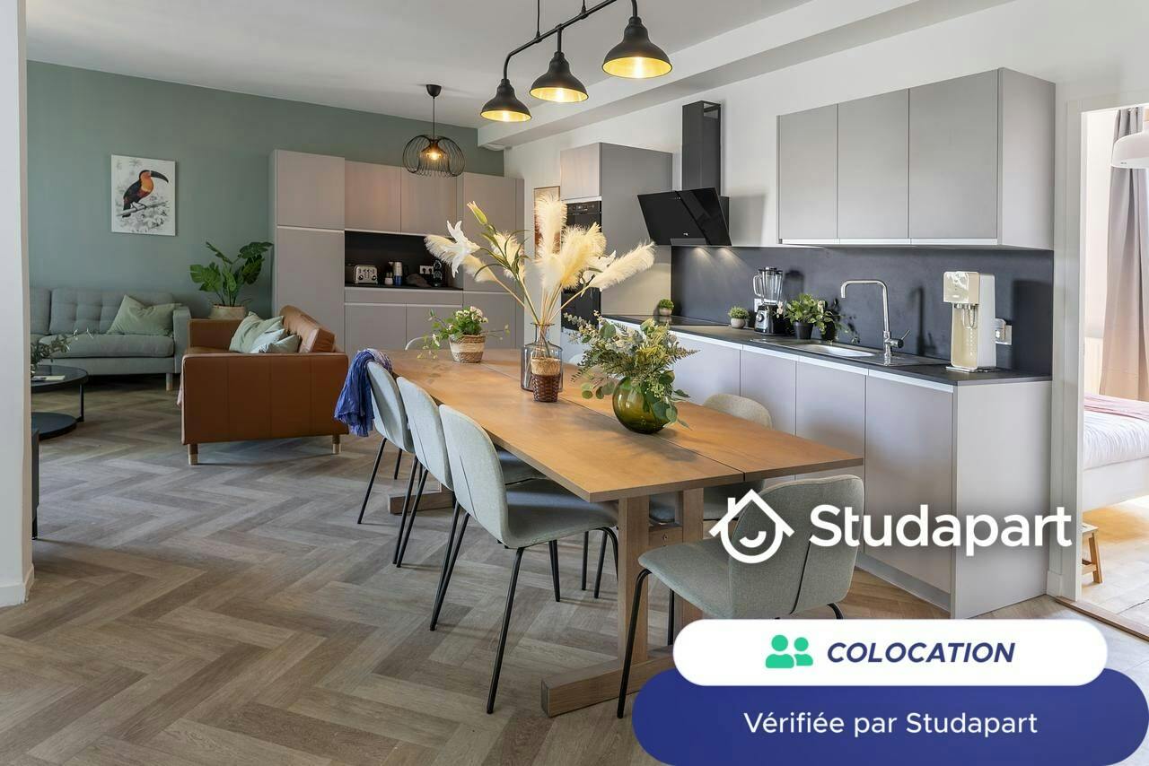 Private room for rent on Rue Bonnand, Lyon - Vue 4