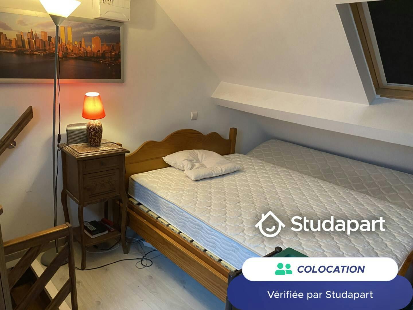 Private room for rent on Rue Ferrer, Faches-Thumesnil