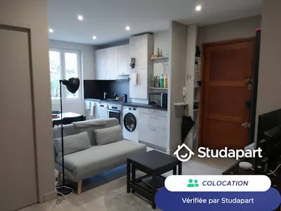 Private room for rent on Rue Florent, Lyon, Lyon
