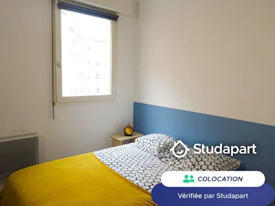 Private room for rent on Rue Mercière, Lyon