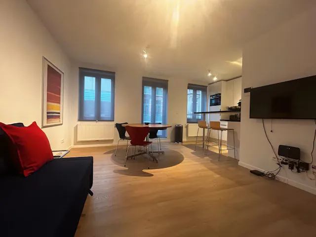 1-Bedroom Apartment in Chaussée de Louvain, Saint-Josse-ten-Noode (1591291) room image 1