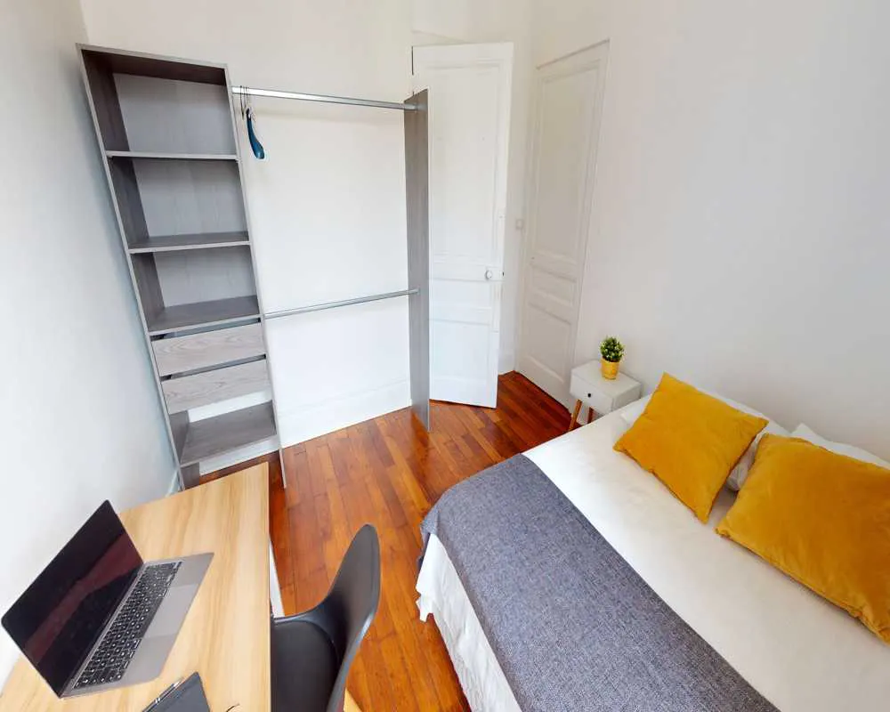 Private room in Rue Etienne Richerand, Lyon (1591905) ROOM 1