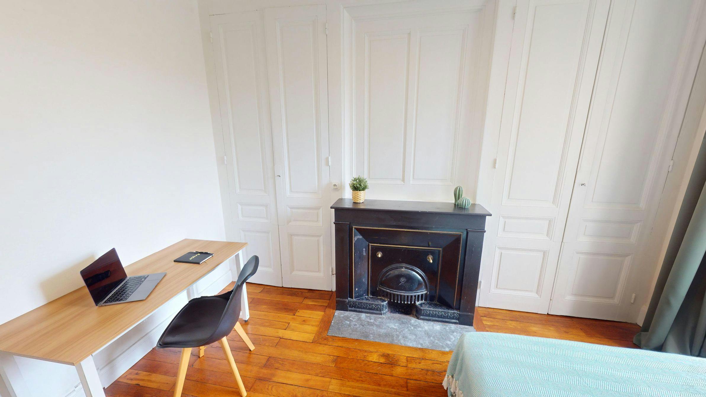 Private room for rent on Rue Étienne Richerand, Lyon - Vue 4